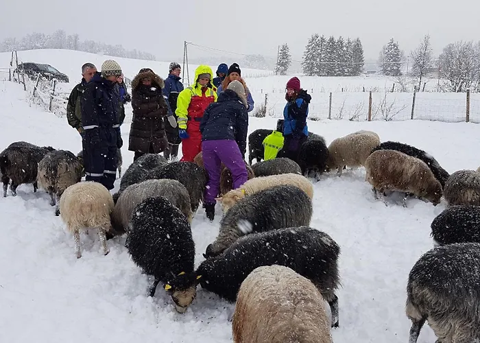 Agroturismo Olaasen Gard *